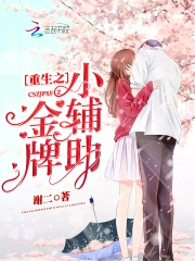 重生之金牌小辅助